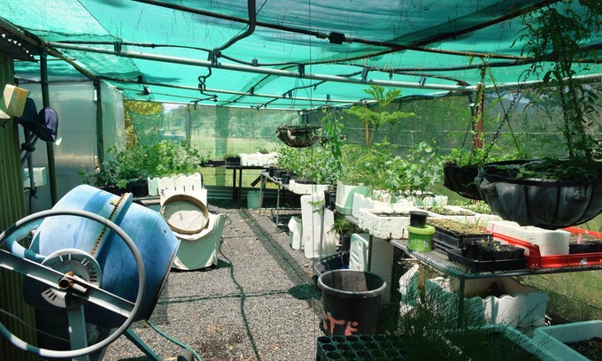 Wallabadah House | Family-Friendly Little House in the Nursery with Pool