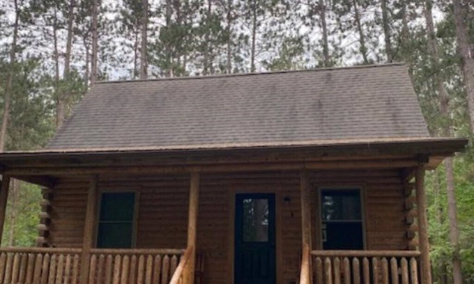 Reed City Cabin | Cozy Little Log Cabin with Kitchen & Pet-Friendly Comfort