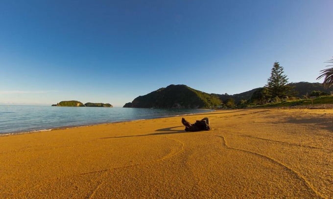 Tata Beach House | Pet-Friendly Little Nikau at Tata Beach - Family Retreat