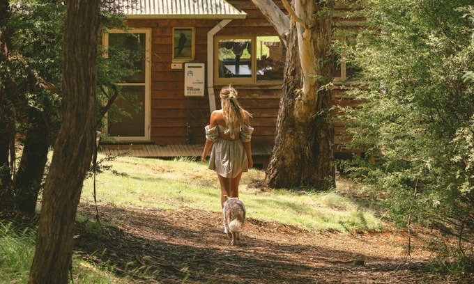 Porepunkah House | Cozy Little Olive Cabin with Pool and Pet-Friendly Perks