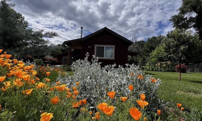 Shasta Cabin | Charming Little Red House: Cozy Retreat Near Whiskeytown Lake