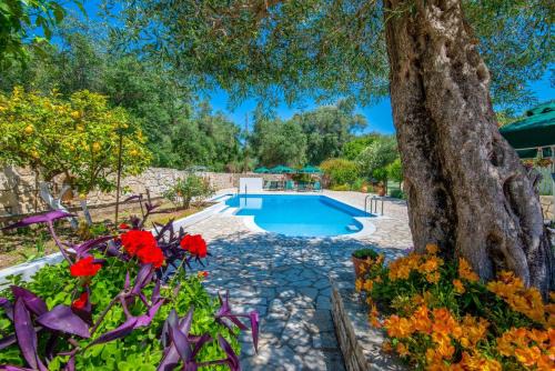 Lakka Apartment | Inviting Livadi Studios with Pool & Oceanfront Views