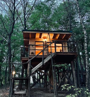 Moravske Toplice Apartment | Enchanting Living Forest Resort: Pet and Child Friendly Stay