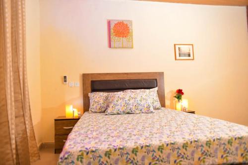 Benin City Apartment | Convenient Living Green Apartments with Airport Pickup