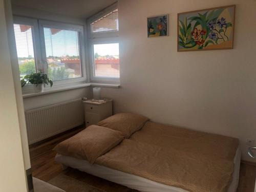 Dunajska Luzna Apartment | Living in the Gallery