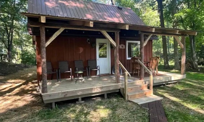 Dansville Cabin | Experience the Cozy Livingston Cabin with Breakfast Included