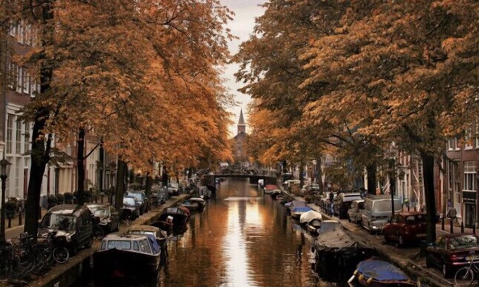 Willemspark Bed & Breakfast | Discover Oud West: Top-Rated Family-Friendly Hotel in Amsterdam