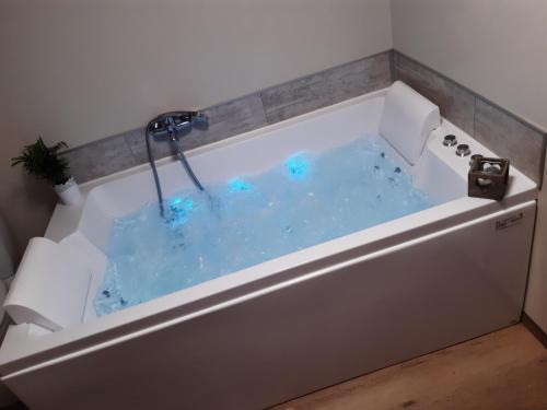 Selles-sur-Cher House | Ideal Retreat: BALNEO DUO Near Beauval Zoo with Hot Tub