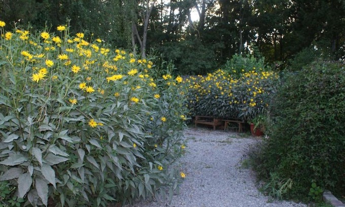 Recques-sur-Hem House | Relaxing Location for Families and Pets at Détente