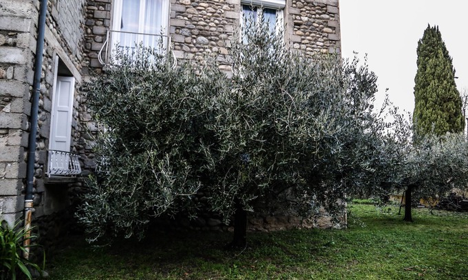 Prades Apartment | Oceanfront Cottage for 6 with Spa - Guest Rated 10/10