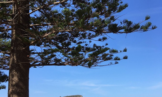 Avalon Beach Apartment | Prime Location: Renovated Studio Near Avalon Surf Beach
