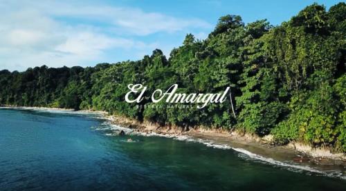 Arusi Hotel | Experience Ecotourism at Lodge El Amargal with Ocean Views