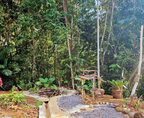 Quebrada La Gamba House | Lodge jaguarjundi