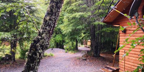 Palguin Alto Cabin | Experience Lodge Palguin Alto with Pet-Friendly Amenities
