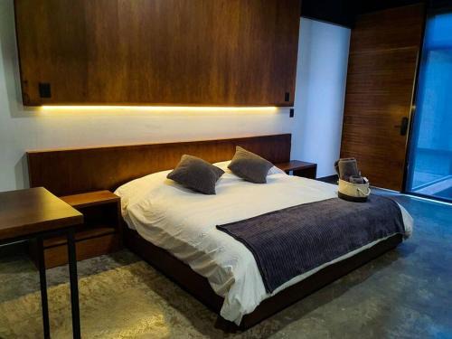 San Luis Potosi Apartment | Prime Location Loft Bronce - Guest Rated 10/10