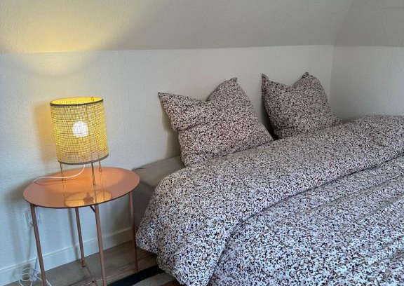 Ringkobing Apartment | Central Loft Apartment - Family-Friendly with Great Reviews