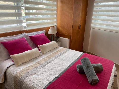Ermita Tizapan Apartment | Budget-Friendly Lofts San Ángel with Pet-Friendly Amenities