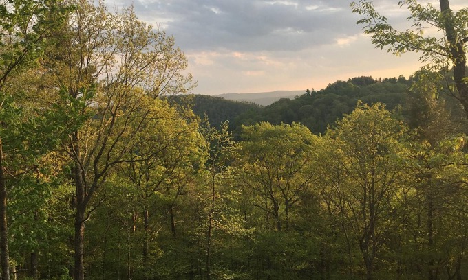 Laurel Springs House | Idyllic Log Cabin Retreat with Spa on Blue Ridge Parkway