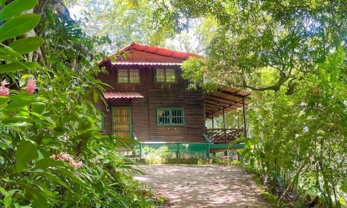 Desamparaditos Cabin | Pet-Friendly Log Cabin Retreat in Lush Jungle Setting