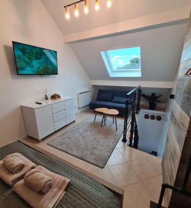 Ozoir-la-Ferriere Apartment | Logement indépendant dans une zone pavillonnaire au calme, situé entre Disneyland et Paris