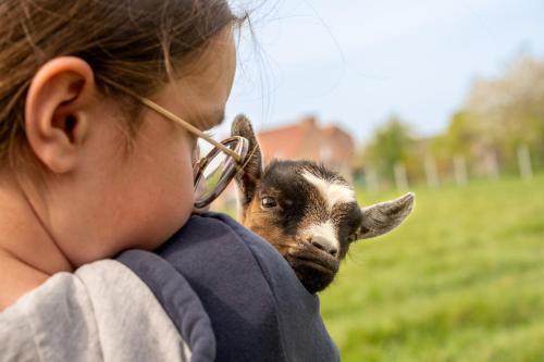 Farbus House | Unique Farm Stays: Yourte, Kota & Pod Accommodations
