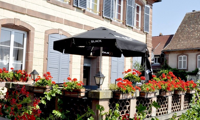 Neuwiller-les-Saverne Hotel | Discover Logis Hôtel du Herrenstein: Family-Friendly Oasis