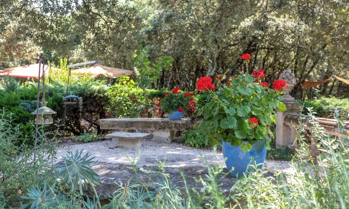 Grignan Hotel | Discover Hôtel & Restaurant La Bastide de Grignan's Delights