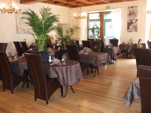 Mauriac Hotel | Enjoy Pet-Friendly Stays at Logis L'Ecu De France