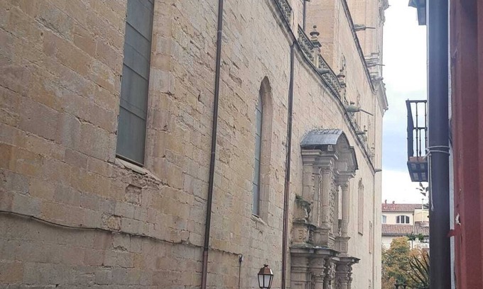Logrono Historic Centre Apartment | Logroño Historical Center Apartment. The balcony of Caballerías.