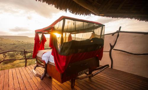 Loisaba Other | Discover Loisaba Star Beds: Relax by the Pool in Nature