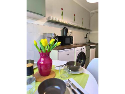 Rymanow-Zdroj Apartment | Prime Lokal 40: Center Apartment with Pet-Friendly Amenities