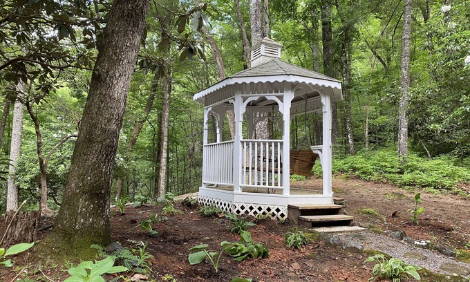 Highlands Apartment | Discover Lolly's Treehouse: Pet-Friendly Retreat Near Highlands