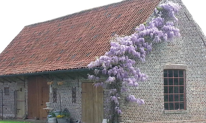 Lotenhulle Bed & Breakfast | Relaxing Stay at Lomolen B&B with Spa & Family Amenities