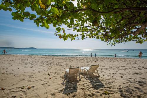 Chaweng City Center Resort | Seaside Escape at Long Beach Lodge, Chaweng Beach