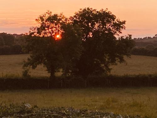 Downpatrick House | Inviting Long View Guest Accommodation: Child-Friendly Retreat