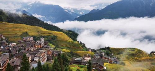 Longsheng Various Nationalities Autonomous County House | Longji Friendship Tree Hotel
