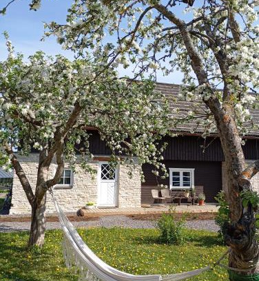Muraste House | Experience Loo Kodu & Köök: Pet-Friendly Getaway Rated 9.3