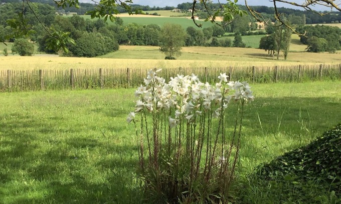 Lusignac House | Discover a Cozy Cottage in Peaceful Dordogne/Charente