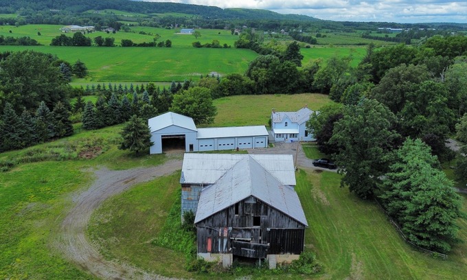 Halton Regional Municipality Other | Looking for a getaway in the woods close to the city?(pet friendly, party?)