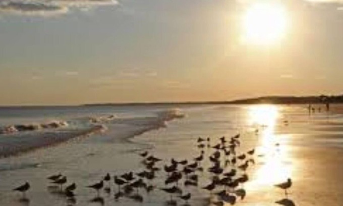 Johns Island Apartment | Experience Loo's Roost: A Unique Charleston Getaway