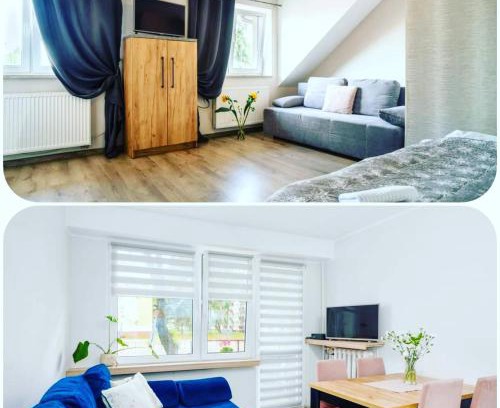Plock Apartment | Pet-Friendly LOQUS Apartments: Family Suites Await You