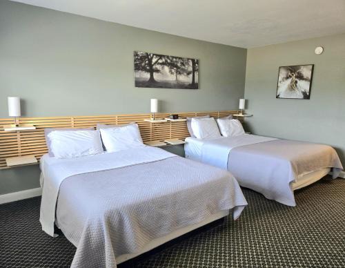 Kingston Hotel | Pet-Friendly Retreat at Lord Nelson Motel with Hot Tub