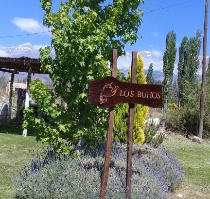 Potrerillos Apartment | Kid-Friendly Escape at Los Búhos - Rated 9/10 by Guests
