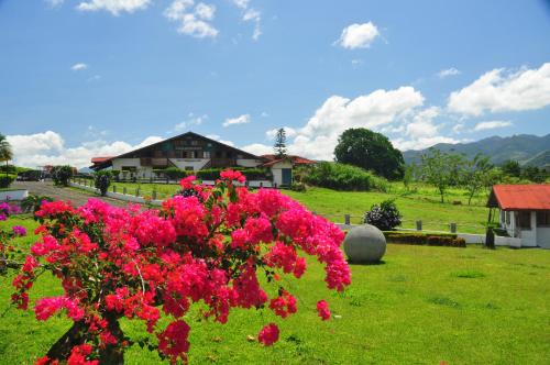 Arenal Hotel | Exceptional Stay at Los Héroes with Pool & Family-Friendly Amenities
