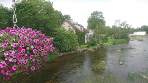 Poltsamaa Apartment | Family-Friendly Stay at Lossi 8 - Põltsamaa Maida