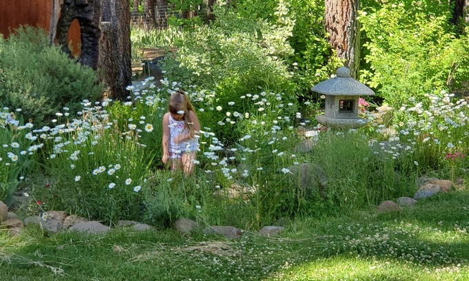 Iron Horse House | Discover Lost Sierra Mountain Home with Spa & Breakfast