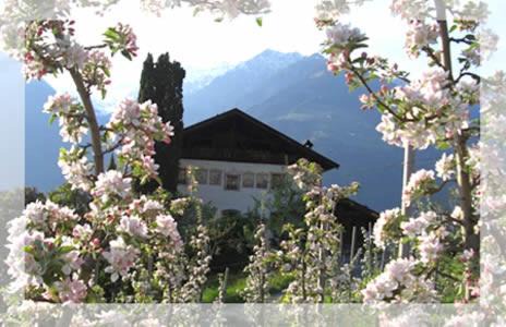 Schenna Apartment | Guest Rated: 9.8 at Lothof - Family & Pet-Friendly Oasis