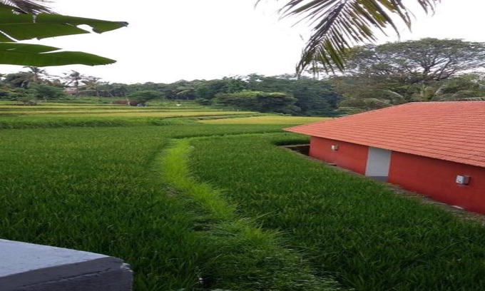 Singaraja House | Discover Lotus Guesthouse Sudaji: Nature Retreat in North Bali
