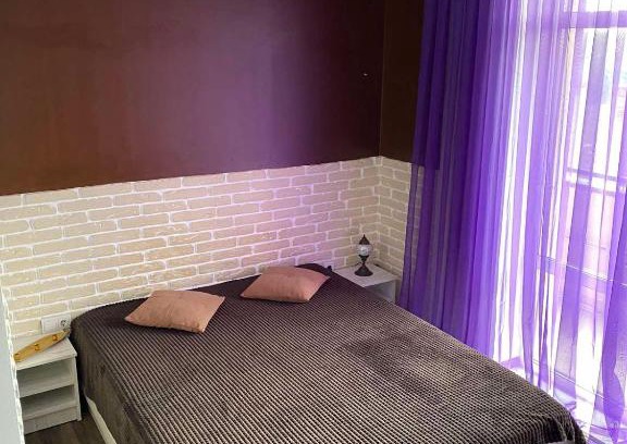 Kosuv Stary Apartment | Cozy Lounge Apartment: Pet-Friendly Retreat for Families