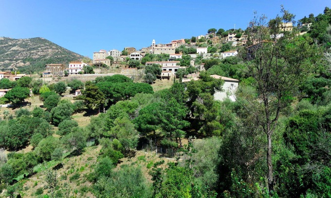 Partinello Apartment | Charming Apartment with Ocean View, Patio & Pet Friendly